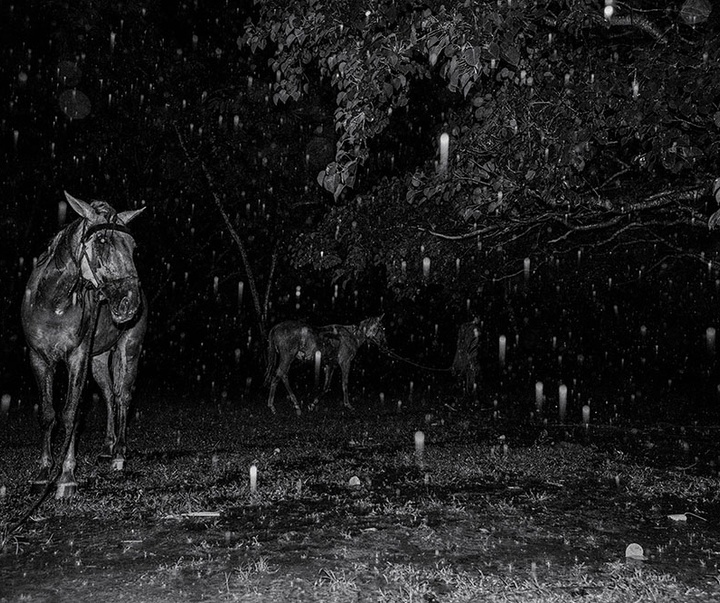 گالری آثار عکاسی خوانیتا اسکوبار از کلمبیا