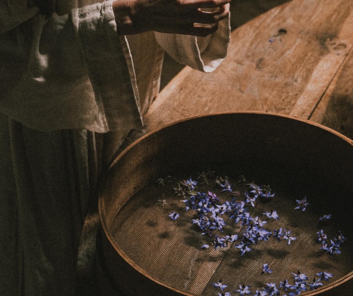 گالری عکس های ریچل برنن از فرانسه