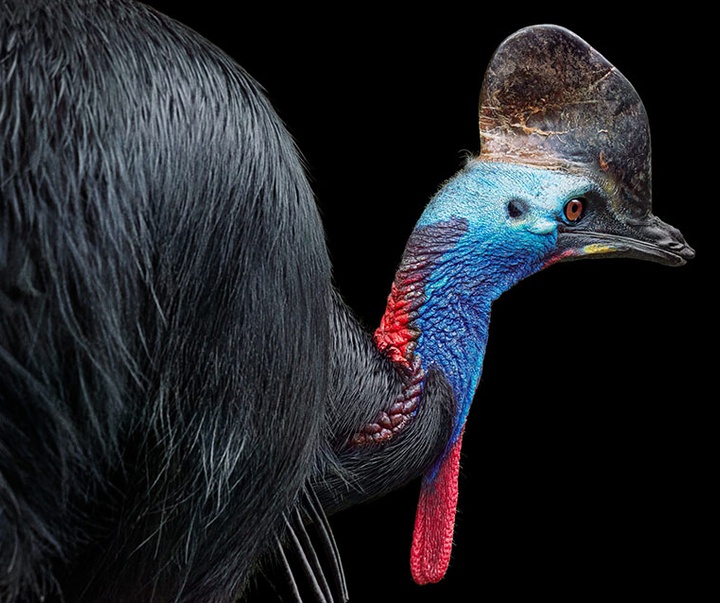 گالری عکس‌های خلاقانه تیم فلچ از بریتانیا