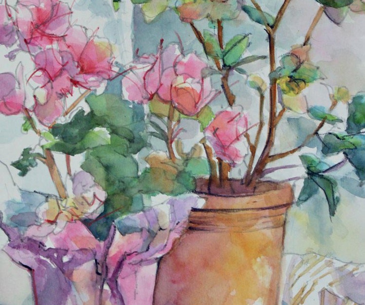 گالری نقاشی های آبرنگ پم ونگر از آمریکا