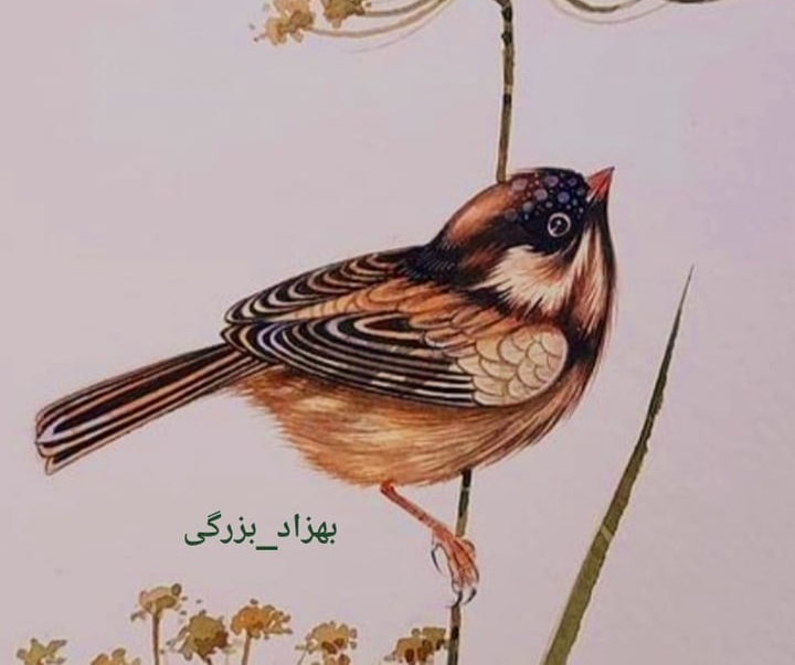گالری آثار گل و مرغ و نگارگری بهزاد بزرگی از ایران