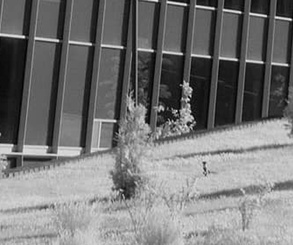 گالری آثار عکاسی فدریکو فورتینی از آرژانتین