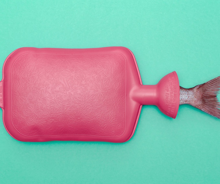 گالری عکس‌های وولف سیلوری از اتریش