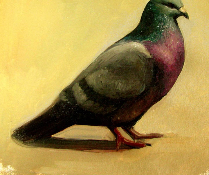 گالری نقاشی‌های لولا ماری از آرژانتین