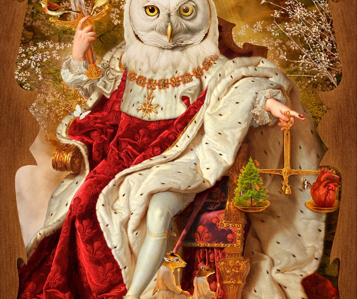 گالری تصویرسازی‌های گیرمو فلورس پاچکو از مکزیک