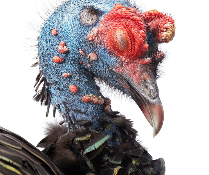 گالری عکس‌های خلاقانه تیم فلچ از بریتانیا