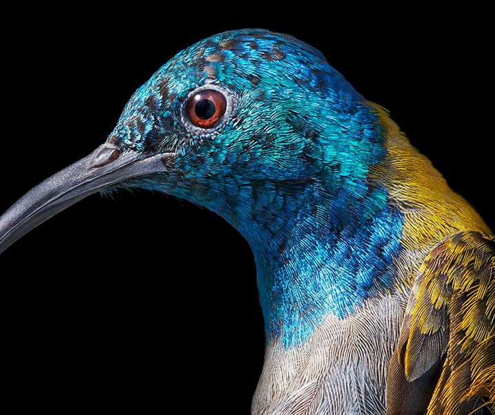 گالری عکس‌های خلاقانه تیم فلچ از بریتانیا