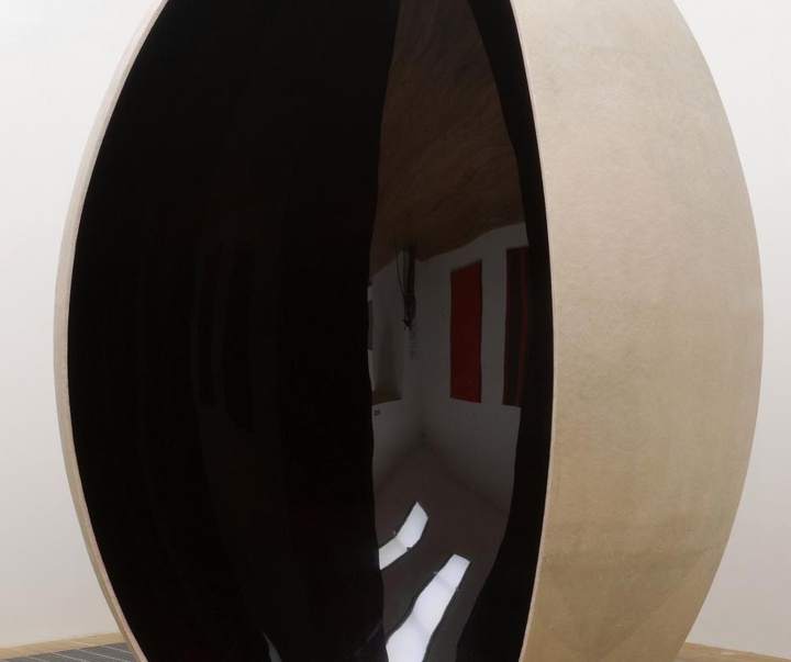 گالری آثار حجم آنیش کاپور از هند