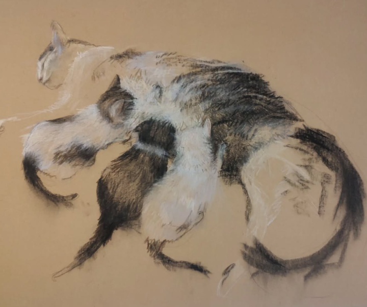 گالری نقاشی‌های لولا ماری از آرژانتین