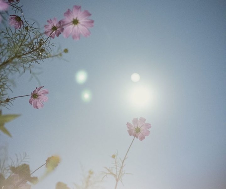 گالری آثار عکاسی گرگوری هالپرن از آمریکا