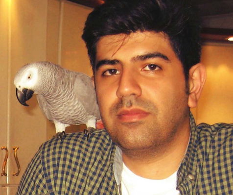 محمد افلاک