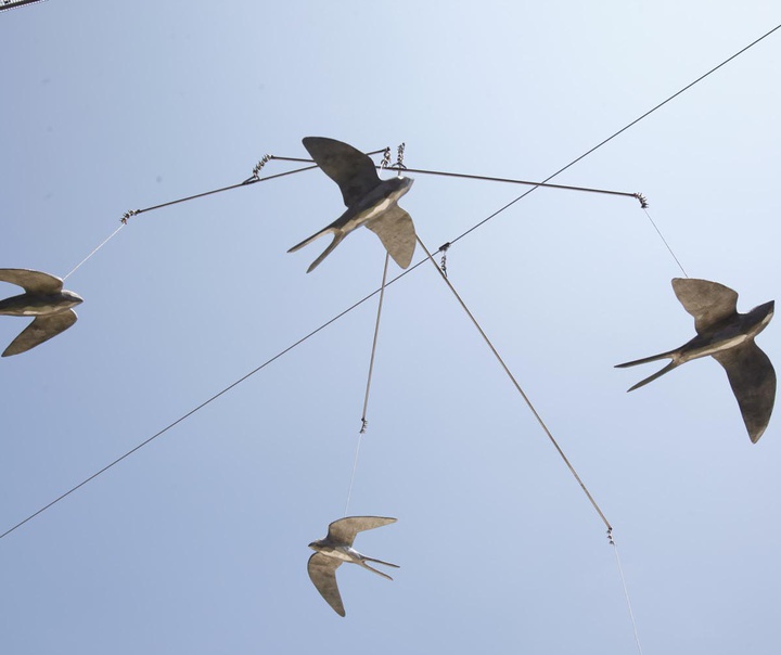 سیریل آندره