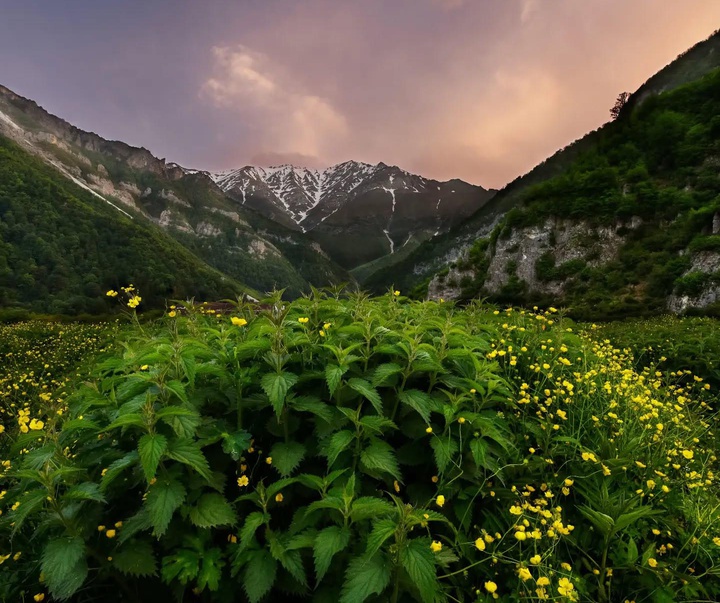 گالری عکس های نیما جبرائیلی از ایران