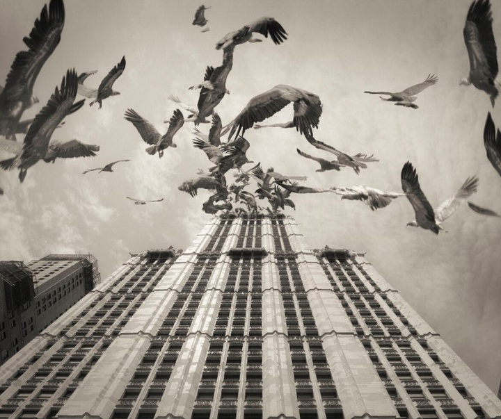 گالری آثار عکاسی اوریول یولانچ از اسپانیا