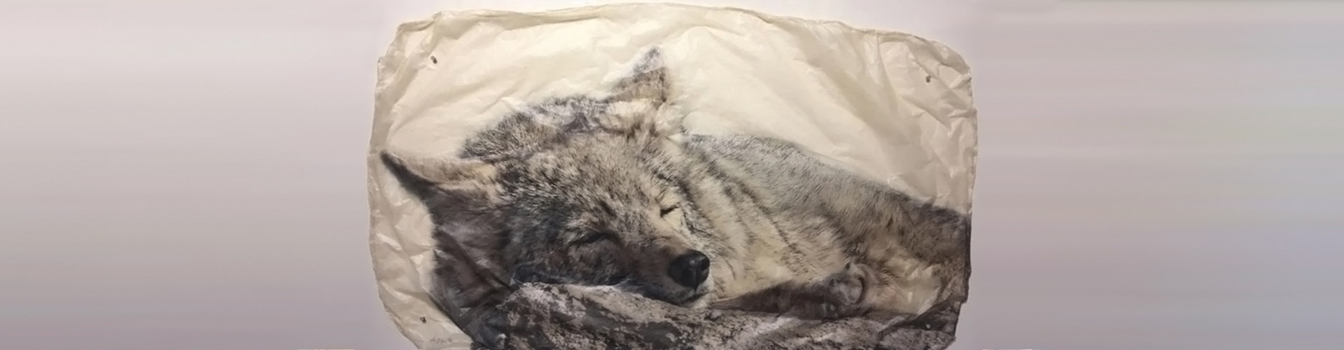 گالری نقاشی‌های پیت زالوزک از آمریکا