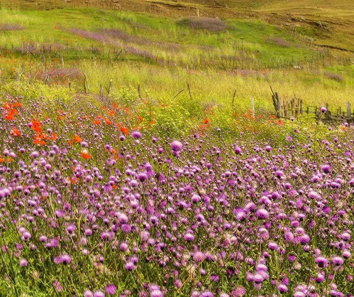 گالری عکس های مجید حجتی از ایران