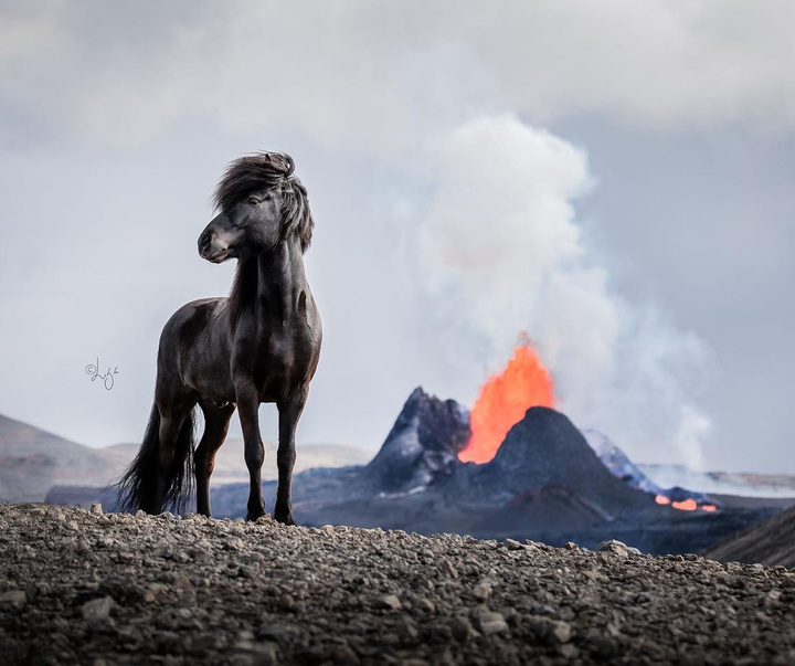 گالری آثار عکس لیگ لیپینا از ایسلند