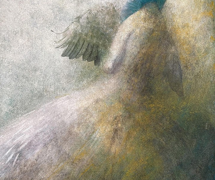 گالری تصویرسازی‌های گابریل پاچکو از مکزیک