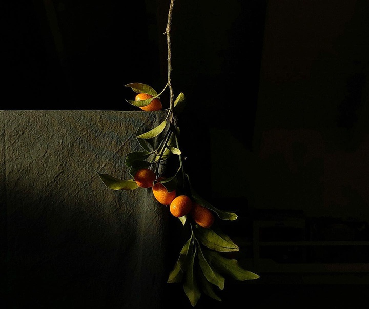 گالری عکس‌های استودیو پاتو کاتز از آرژانتین