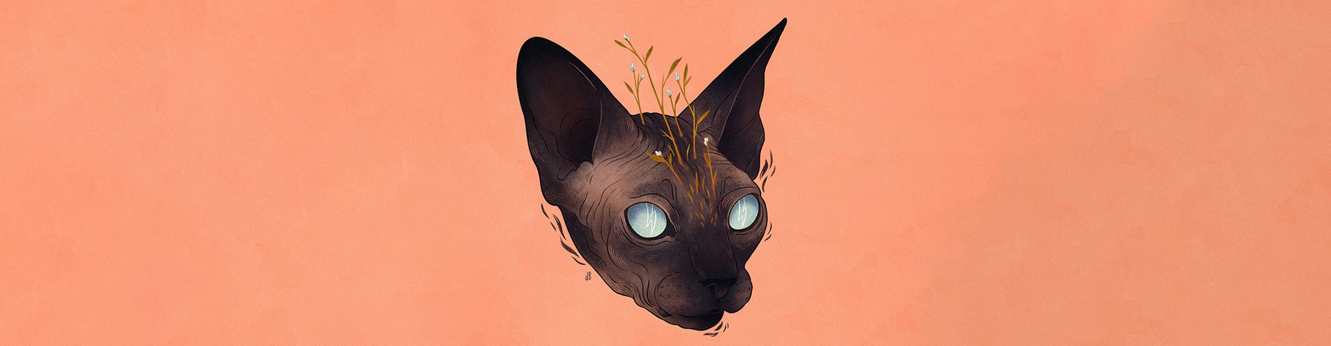 گالری آثار تصویرسازی جنا بارتون از آمریکا