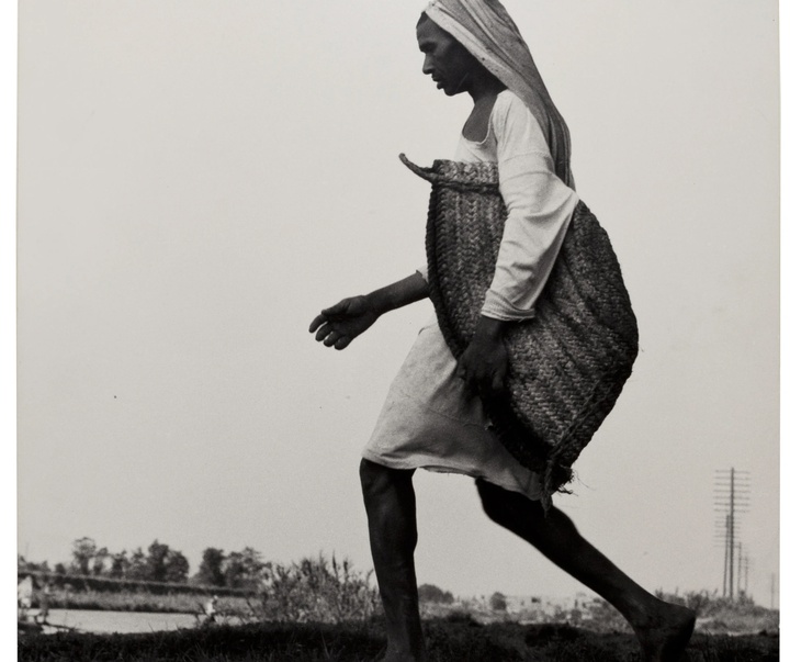 گالری عکس‌های دوروتیا لانگ از آمریکا