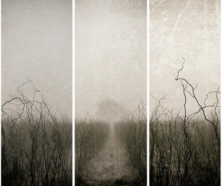 گالری آثار عکاسی مایک سایدل از آلمان