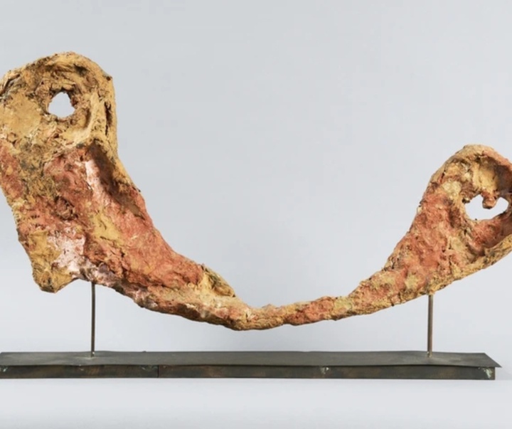 گالری آثار حجم و مجسمه فرانتس وست از اتریش