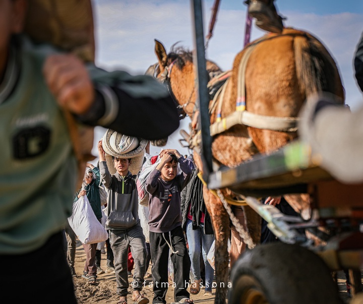 گالری عکس‌های فاطمه حسونا از فلسطین