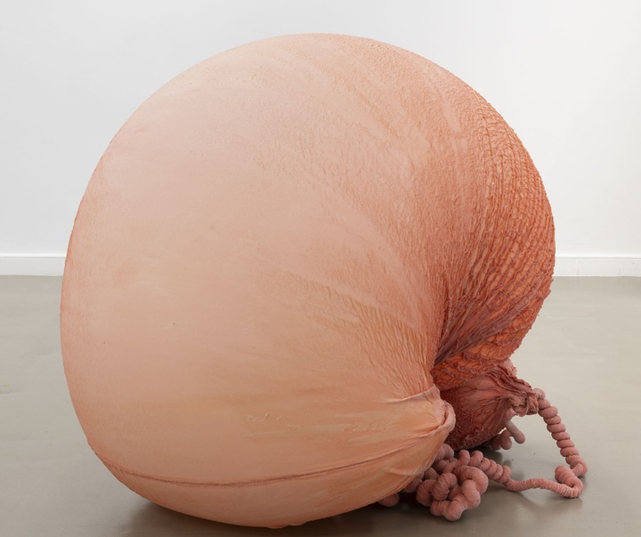 گالری آثر چیدمان و حجم اوا فابرگاس از اسپانیا