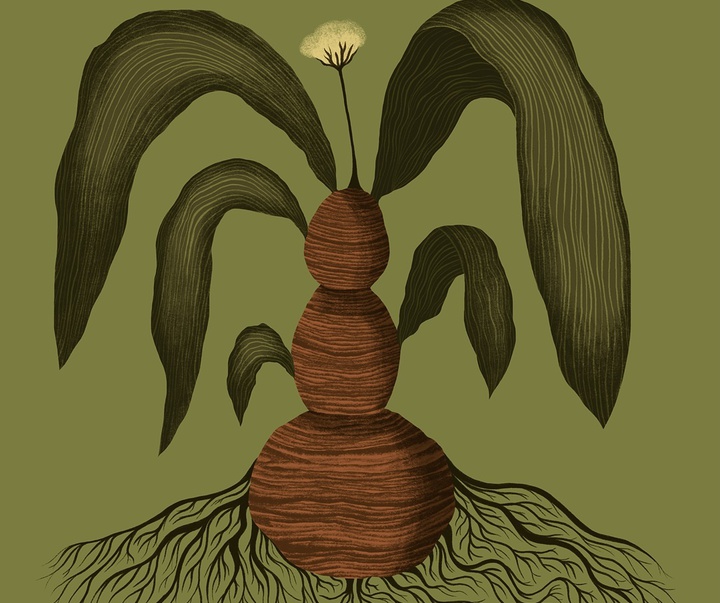 گالری تصویرسازی‌های کاتریل مارتینز از آرژانتین