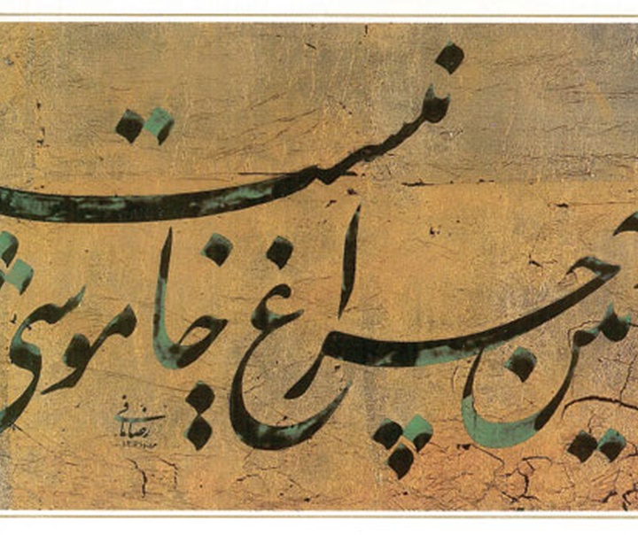 رضا مافی