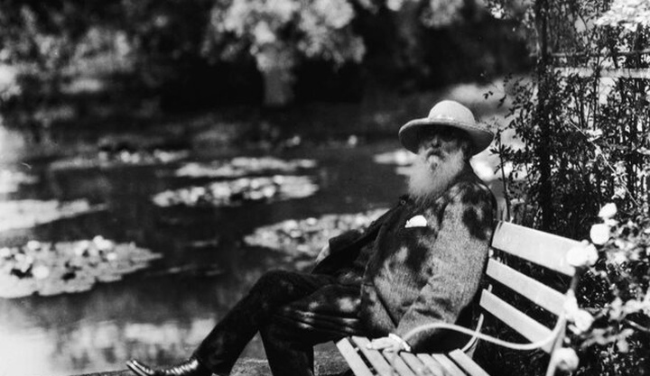 ماجرای جالب باغ هنرمند مطرح