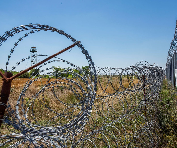 گالری آثار عکاسی لالو د آلمیدا از برزیل - قسمت دوم