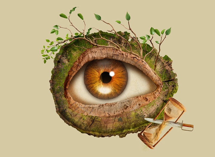 گالری تصویرسازی‌های گیرمو فلورس پاچکو از مکزیک