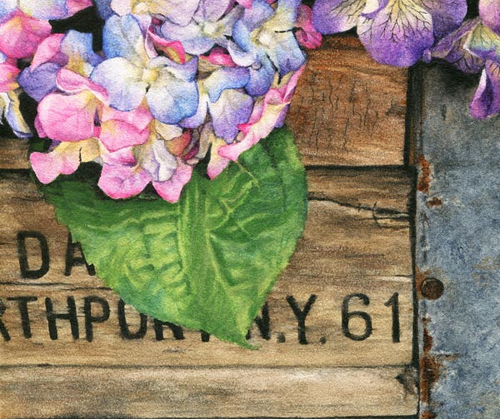 گالری نقاشی های آبرنگ آلیسا شیا از آمریکا