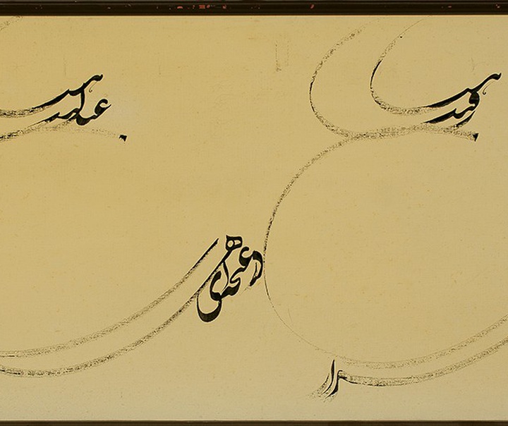 رضا مافی