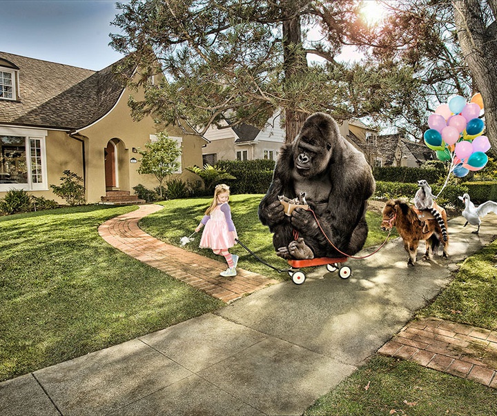 گالری عکس‌های دن اسکوبار از کوبا