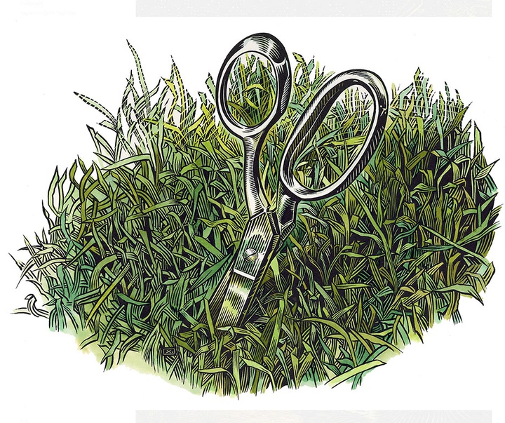 گالری آثار تصویرسازی راجر خاویر از آمریکا