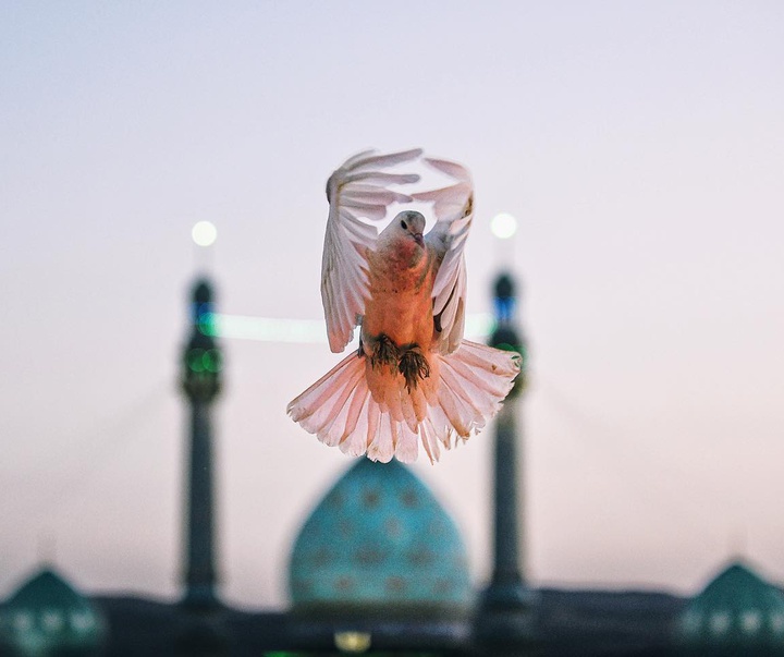 گالری عکس های محمد وحدتی از ایران