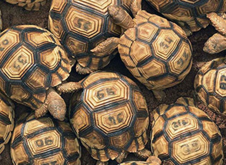 گالری عکس‌های خلاقانه تیم فلچ از بریتانیا