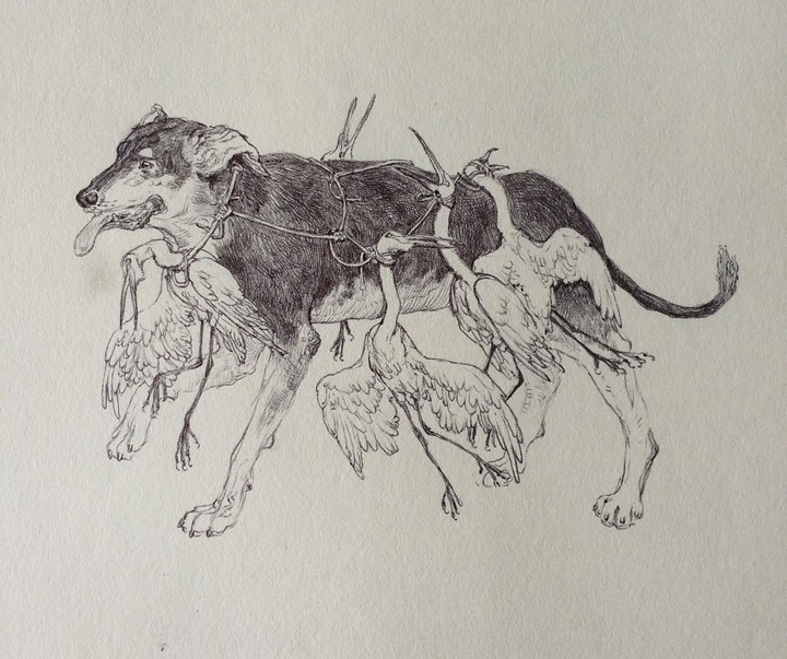 گالری تصویرسازی‌های رائل لیرا از برزیل