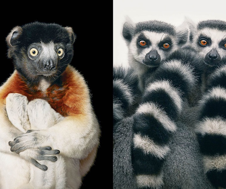 گالری عکس‌های خلاقانه تیم فلچ از بریتانیا