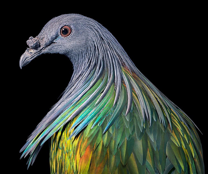 گالری عکس‌های خلاقانه تیم فلچ از بریتانیا