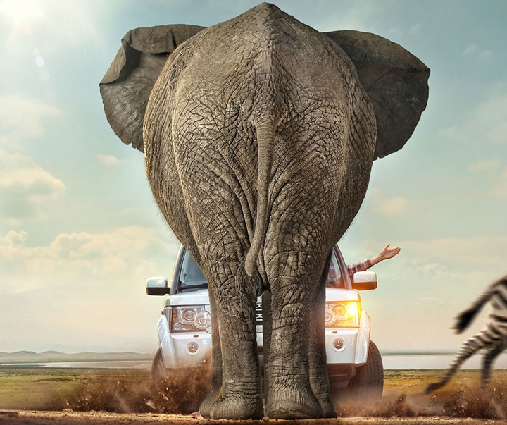 گالری عکس‌های دن اسکوبار از کوبا