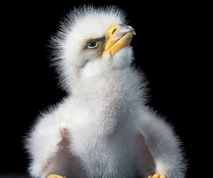 گالری عکس‌های خلاقانه تیم فلچ از بریتانیا