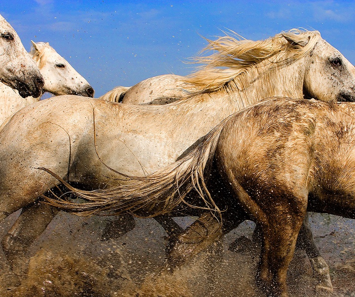 گالری آثار عکاسی جیم زاکرمن از برزیل - قسمت دوم