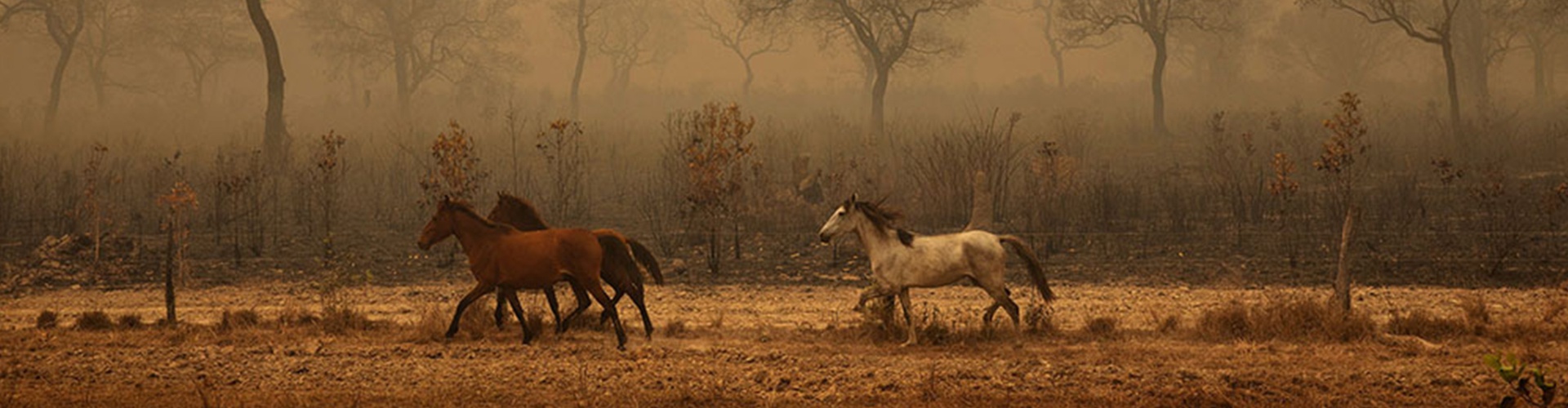 گالری آثار عکاسی لالو د آلمیدا از برزیل - قسمت اول