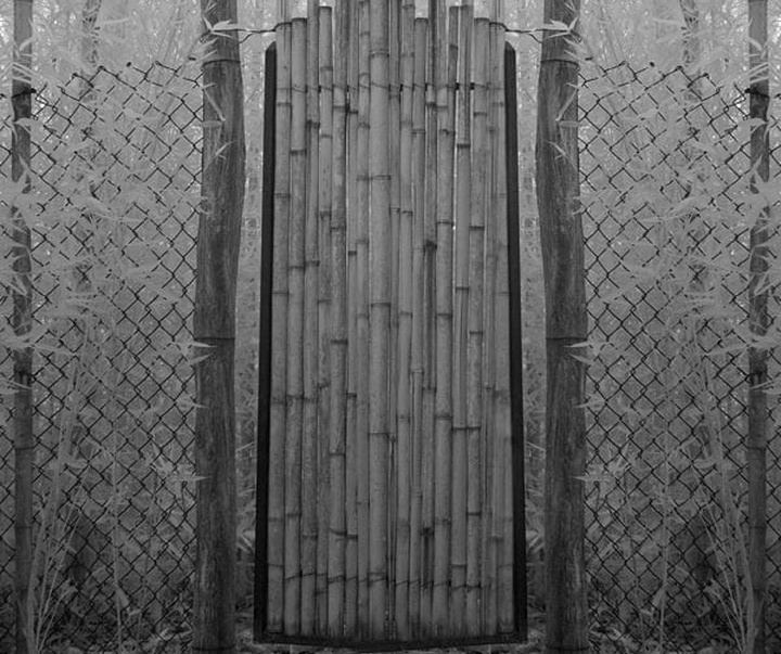 گالری آثار عکاسی فدریکو فورتینی از آرژانتین