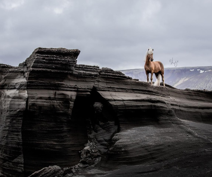 گالری آثار عکس لیگ لیپینا از ایسلند