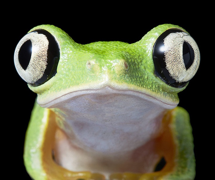 گالری عکس‌های خلاقانه تیم فلچ از بریتانیا